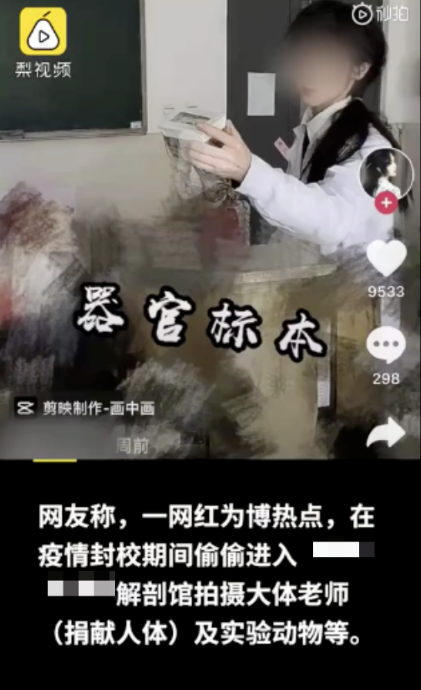 标本.png